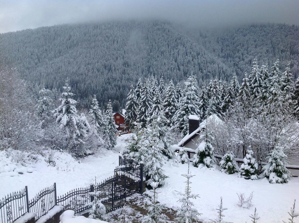Villa Alpiyka Slavske Exterior foto